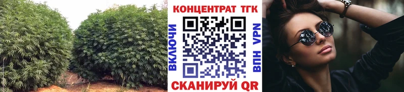 ТГК вейп  кракен ТОР  Ахтырский 