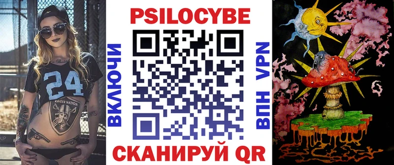 где можно купить наркотик  Ахтырский  Галлюциногенные грибы Cubensis 